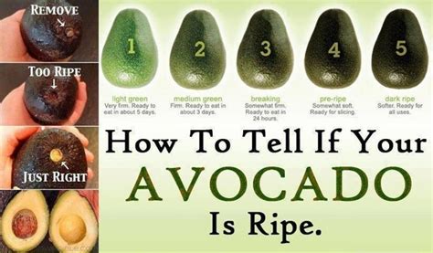 How to tell if an avocado is ripe - Jun 26, 2018 · Flick the small brown stem off the top of the avocado. If it comes off easily and you can see green underneath it, the avocado is ripe! If you see brown, the avocado is overripe and will have some ... 